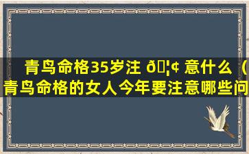 青鸟命格35岁注 🦢 意什么（青鸟命格的女人今年要注意哪些问题）